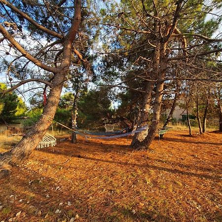 Apartmani Bellevue فير المظهر الخارجي الصورة