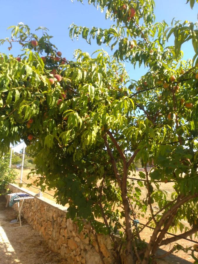 Apartmani Bellevue فير المظهر الخارجي الصورة