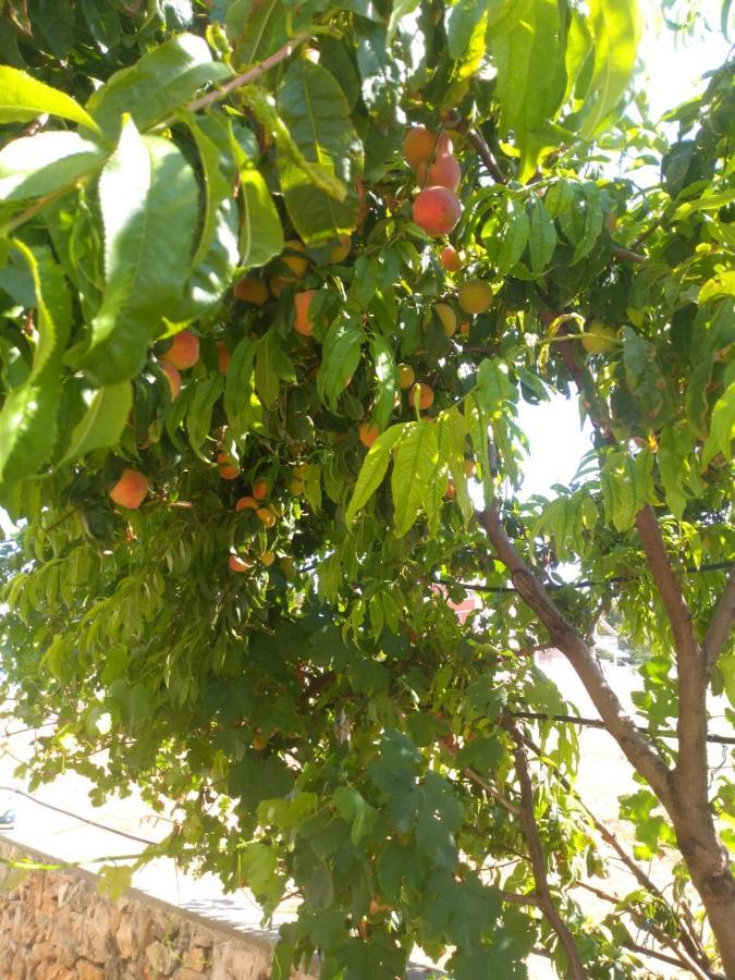 Apartmani Bellevue فير المظهر الخارجي الصورة