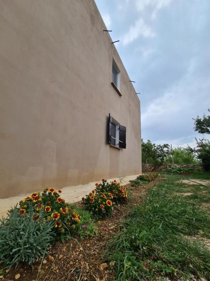 Apartmani Bellevue فير المظهر الخارجي الصورة